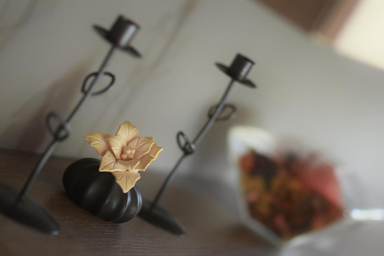 B&B Villa Lodigiana บรูเกริโอ ภายนอก รูปภาพ